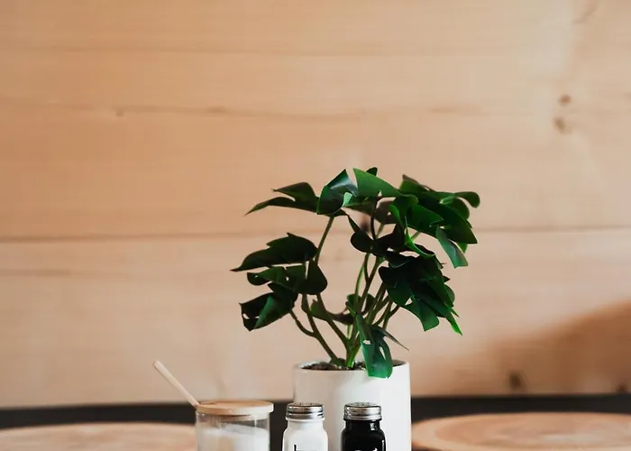 Bartusiowa Osada זקופאנה