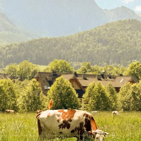 Bartusiowa Osada Zakopane