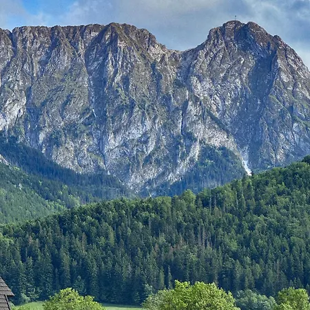 Bartusiowa Osada Domek alpejski *