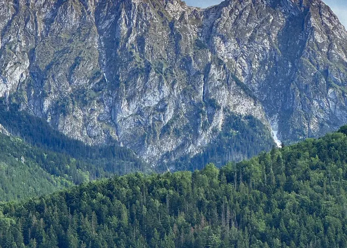 Bartusiowa Osada Domek alpejski *